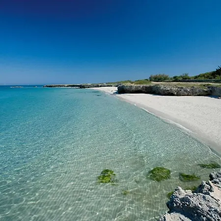 Trullo Country Relax Lumieri Casa vacanze *